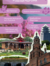 Фестиваль рододендрона: экскурсии