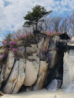 Мультитур «Бухта Триозерье + Бухта Окуневая»