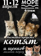 Выставка-продажа котят и щенков