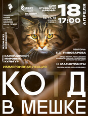 Иммерсивная лекция «КотД в мешке»