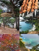 Поход на п-ов Гамова