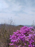 Поход на гору Русских (Фестиваль рододендрона)