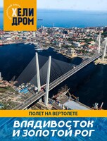 Полет на вертолете над Владивостоком и бухтой Золотой Рог