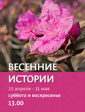 Экскурсия «Весенние истории»