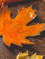 Мастер-класс по лепке из глины «Тарелка-лист» для взрослых и детей