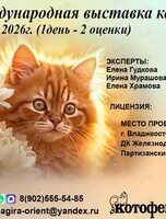 Выставка кошек