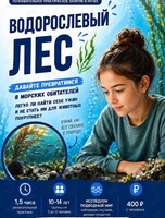 Занятие «Водорослевый лес»