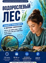 Занятие «Водорослевый лес»