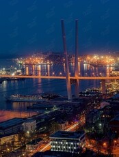 Экскурсия «Огни вечернего Владивостока»