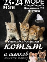 Выставка-продажа котят и щенков