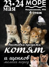 Выставка-продажа котят и щенков