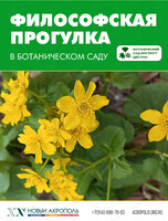 Философская прогулка