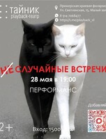 Плейбэк-театр «Тайник». Перфоманс