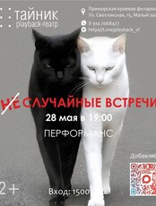 Плейбэк-театр «Тайник». Перфоманс