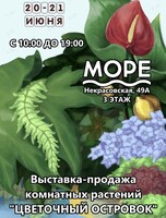 Выставка-продажа комнатных растений