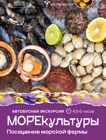 Автобусная экскурсия «МореКультуры»