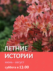 Экскурсия по Ботаническому саду «Летние истории»