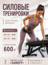 Силовые тренировки