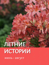 Экскурсия по Ботаническому саду «Летние истории»