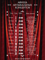 Музыкальные концерты