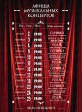 Музыкальные концерты