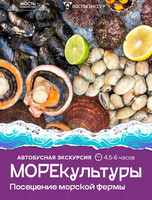 Автобусная экскурсия «МореКультуры»