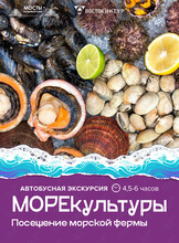 Автобусная экскурсия «МореКультуры»