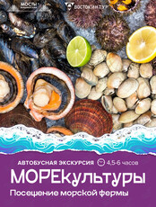 Автобусная экскурсия «МореКультуры»