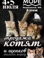 Выставка-продажа котят и щенков