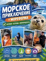 Морское приключение: о. Русский, о. Шкота, м. Тобизина, морские котики и мореферма