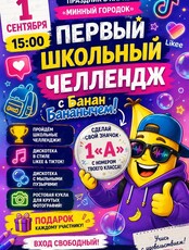 Первый школьный челлендж