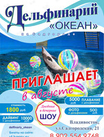 Шоу дельфинов
