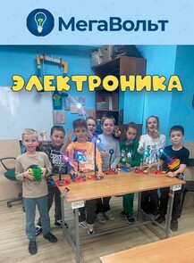 Пробные занятия по электронике и столярному делу
