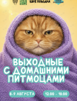 Выходные с домашними животными