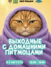 Выходные с домашними животными