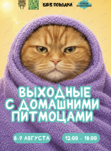 Выходные с домашними животными