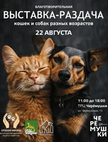 Благотворительная выставка-раздача бездомных животных