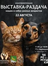 Благотворительная выставка-раздача бездомных животных