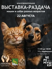 Благотворительная выставка-раздача бездомных животных