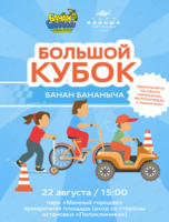 Большие гонки
