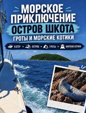 Тур «Морское приключение, морские котики и морепродукты»