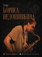 Трио Бориса Недошивкина