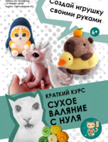 Курс по валянию «Создай свою игрушку»