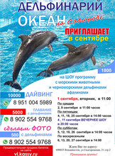 Дельфинарий «Океан»