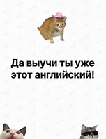Разговорный клуб с носителем языка