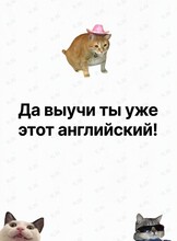 Разговорный клуб с носителем языка