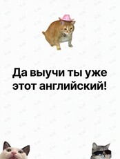 Разговорный клуб с носителем языка