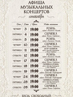 Музыкальные концерты