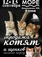Выставка-продажа котят и щенков мелких пород