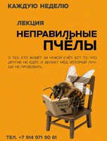 Лекция «Неправильные пчёлы»